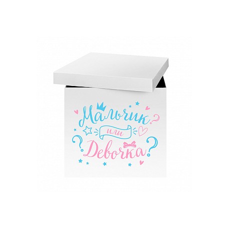 Наклейка "Мальчик или девочка" / 42*30 см / 1 набор / (Китай)