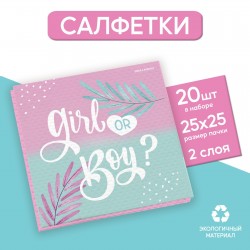 Салфетки 25*25см "Gir or Boy" (набор 20 шт) 9383958