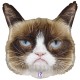 G 28 Фигура Сердитая кошка / Grumpy Cat / 1 шт /, Фольгированный шар (Италия)
