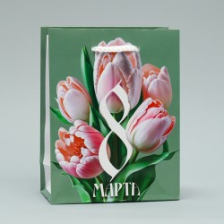 Пакет ламинированный «Тюльпаны», S 12 х 15 х 5,5 см 9933741