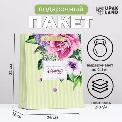 Пакет ламинированный "Прекрасный день", 26 х 32 х 12 см 9916277