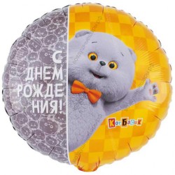 К 18” РУС ДР Кот Басик