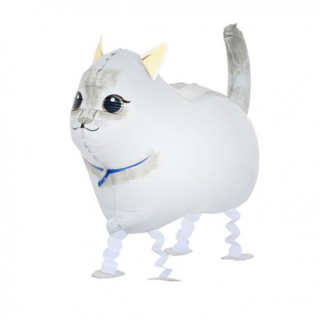 К ХОД Кот белый