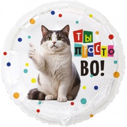 К 18” РУС ТЫ ПРОСТО ВО Кот забавный
