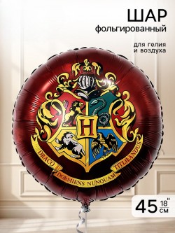 Воздушный шар фольгированный 18" "Волшебная школа" инд.уп. 10993594